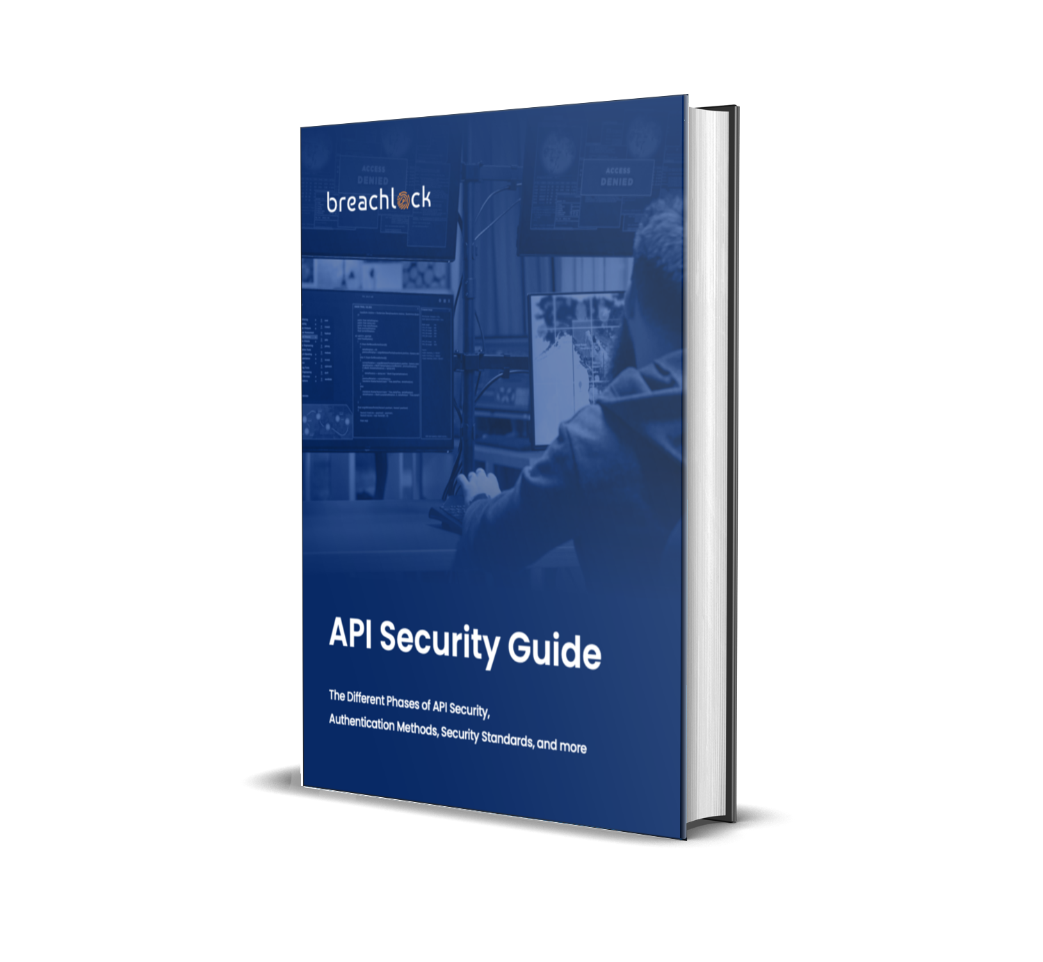 BreachLock API Security Guide 2023