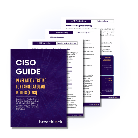 CISO Guide | Penetration Testing for LLMs