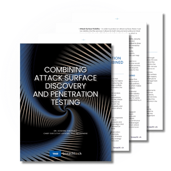 Combining Attack Surface Discovery and Penetration Testing | BreachLock