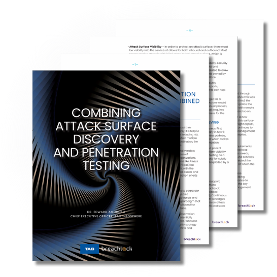 eBook Cover - Combining Attack Surface Discovery and Penetration Testing