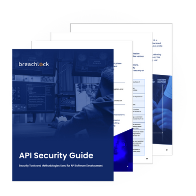 BreachLock API Security Guide